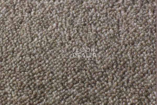 Ковролин Jacaranda Carpets Rajgarh Dappled Brown фото 1 | FLOORDEALER
